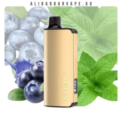 ALIBARBAR Ingot 9000 Blueberry Mint